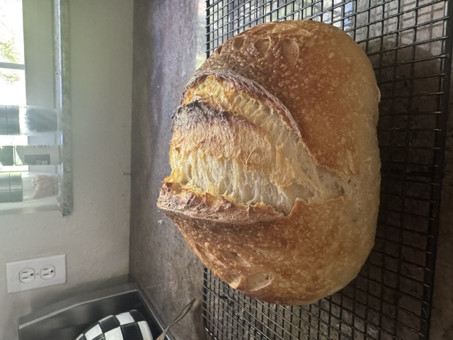 Classic Sourdough